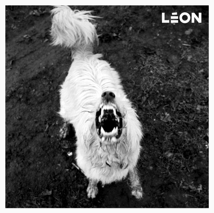 BR06 Leon